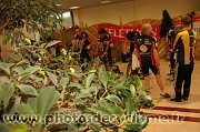 Telethon 2007 107